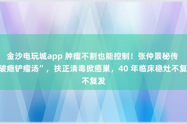 金沙電玩城app 腫瘤不割也能控制！張仲景秘傳 “破癥鏟瘤湯”，扶正清毒掀癌巢，40 年臨床穩灶不復發