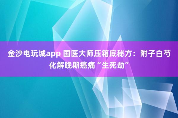 金沙電玩城app 國醫(yī)大師壓箱底秘方：附子白芍化解晚期癌痛“生死劫”