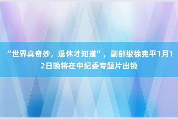 “世界真奇妙，退休才知道”，副部級徐憲平1月12日晚將在中紀委專題片出鏡