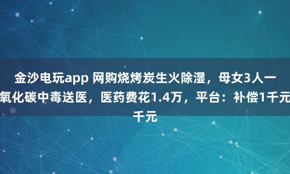 金沙電玩app 網購燒烤炭生火除濕，母女3人一氧化碳中毒送醫，醫藥費花1.4萬，平臺：補償1千元