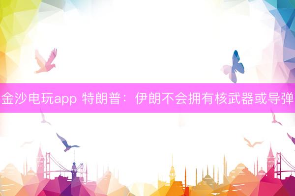 金沙電玩app 特朗普：伊朗不會(huì)擁有核武器或?qū)? class=