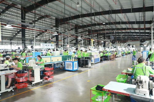 2023首屆河南 睢縣鞋博會(huì)將于10月21 23日舉行