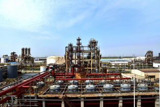 國(guó)內(nèi)單套生產(chǎn)能力最大電解槽在聚隆化工試車(chē)成功