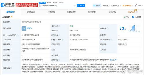 新東方武漢成立科技公司，注冊資本1000萬發(fā)力信息技術(shù)咨詢