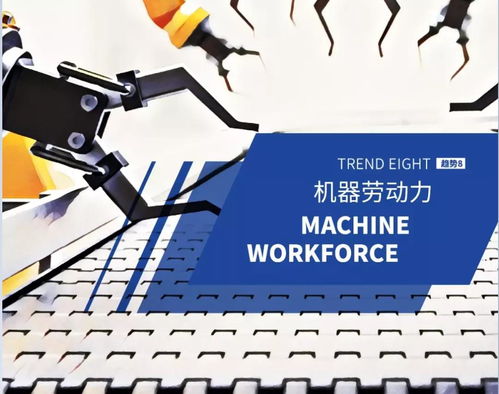 科技賦能，逆襲成為高效解放雙手的信息技術(shù)咨詢顧問